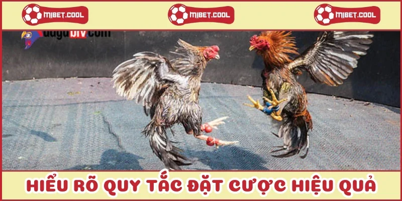 hieu-ro-quy-tac-dat-cuoc-hieu-qua