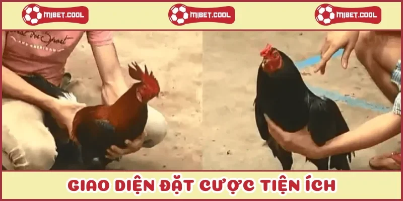giao-dien-dat-cuoc-tien-ich