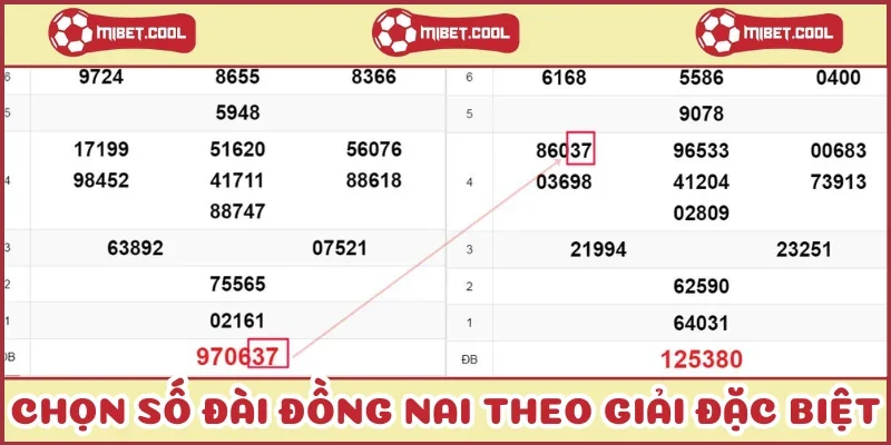 chon-so-dai-dong-nai-theo-giai-dac-biet