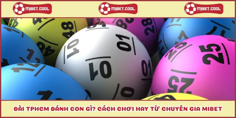 dai-tphcm-danh-con-gi-cach-choi-hay-tu-chuyen-gia-mibet